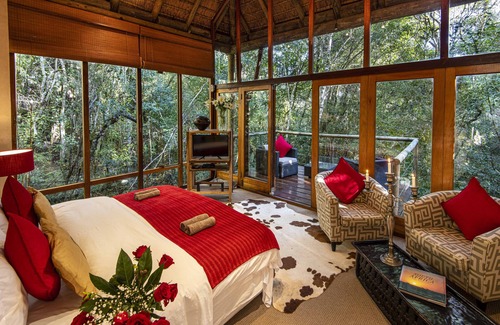 Die Barakke Bed & Breakfast | Trogon House and Forest spa