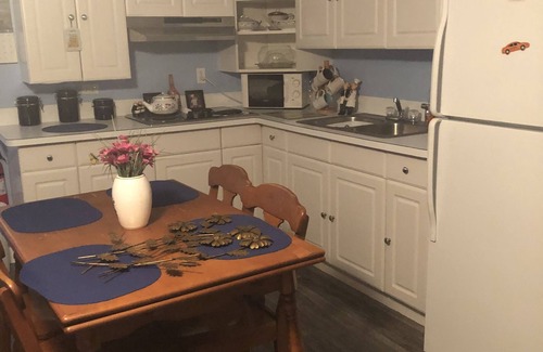 Bayonet Point Apartment | Tropical holiday efficiency