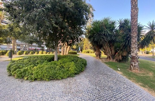 Ensanche Diputacion Apartment | TROPICAL LOFT ALICANTE (Near the Real Club de Regatas)