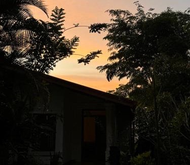 Teldeniya Villa | Tropical Oasis