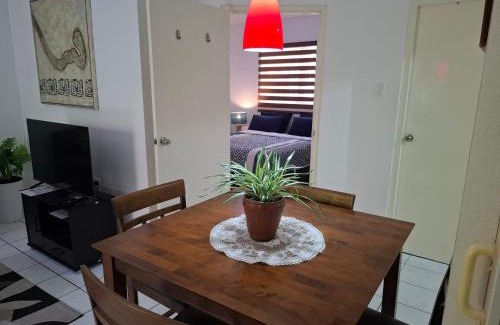 Willemstad Apartment | Tropical Palm Retreat