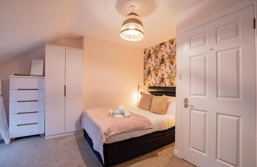 Galway City Centre House | Tropical Vibes in the City of Tribes