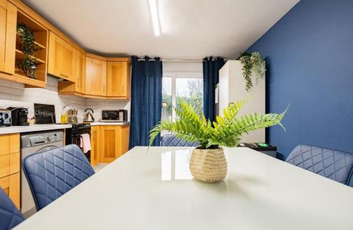 Galway City Centre House | Tropical Vibes in the City of Tribes