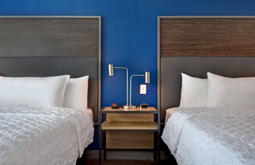 St. Petersburg - Clearwater Hotel | Tru By Hilton St. Petersburg Downtown Central Ave, FL