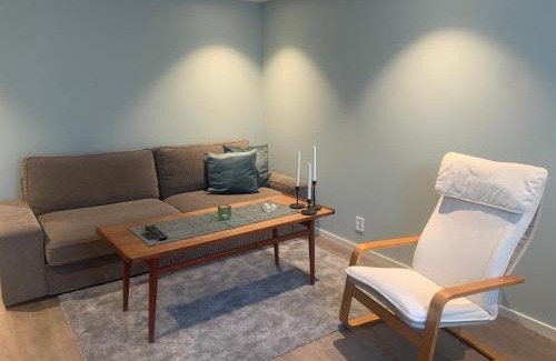 Hjartdal Municipality Apartment | Tuddal - Lynnidalen Apartment