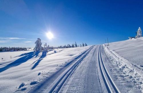 Bolkesjo House | Turibu - cabin in a nice hiking and skiing area