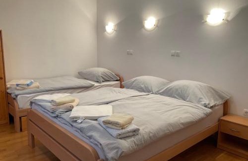 Solcava Apartment | TURISTIČNA KMETIJA STREVC