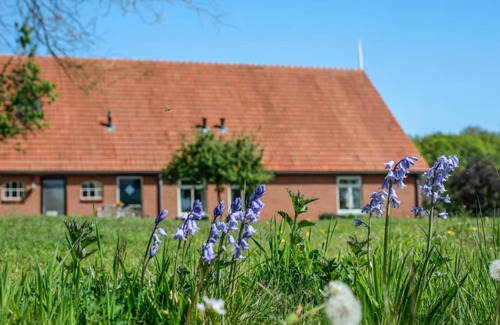 Ambt Delden House | Twentekiek