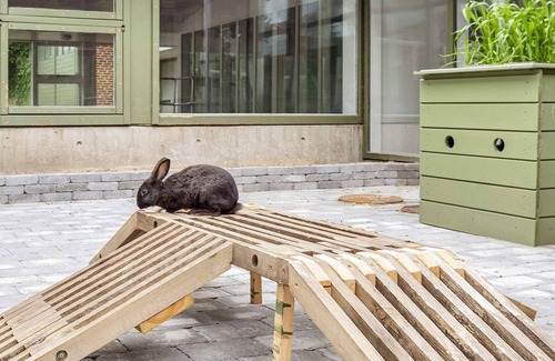 Hanstholm Apartment | Type5- cosy hotel room in a holiday park