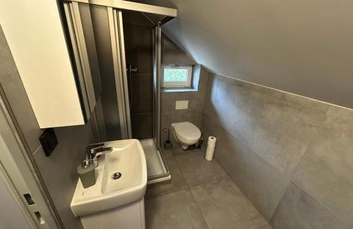Malcin House | U Lipky II