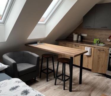 Zlonice Apartment | Ubytování 1kk ve Zlonicích