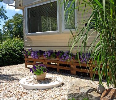 Kosin House | Ubytování Levandule