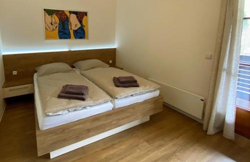Velke Karlovice Apartment | Ubytování Polanský Dvůr