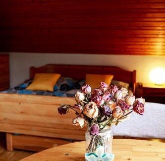 Rabi House | Ubytování U Anděla