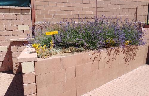 Lednice House | Ubytování U Janča