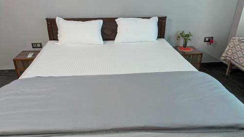 Balipara House | Udayachal House