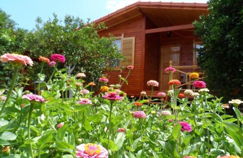 Cirali House | Ugur Pansiyon Bungalows