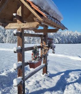 Domzale Apartment | Under The Castle