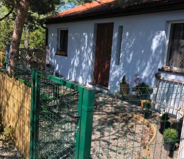 Uniejow House | Uniejów PORT pod Sosnami