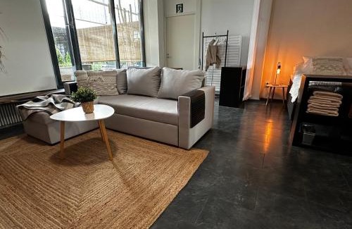 Lahti Apartment | Uniikki keskustahuoneisto pihaterassilla, bm Garden Apartments no1, free parking