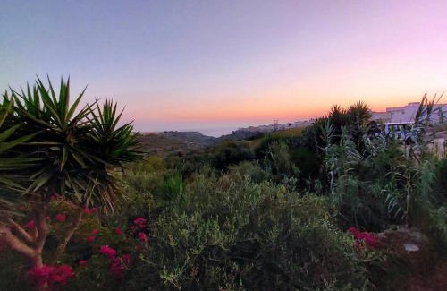 Nadur House | Unique Farmhouse in the Heart of Gozo - Nadur