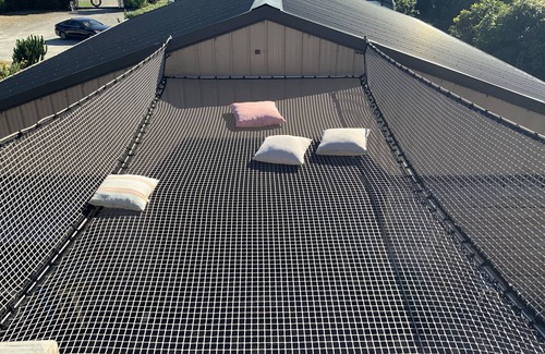 Survey Creek Cabin | Unique Getaway Experience for Couples