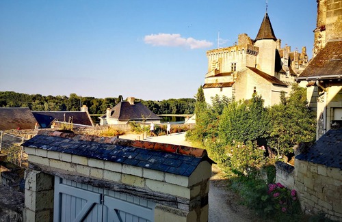 Montsoreau House | Unique house in Montsoreau between Saumur and Chinon