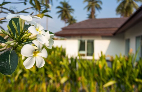 Pratumnak Hill Villa | Unique Pool Villa