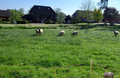 Leck Apartment | Urlaub zwischen Nord- und Ostsee