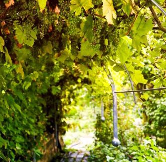 Heilbad Heiligenstadt House | Urlaubspension 'Hohes Rott' und Apartmenthaus