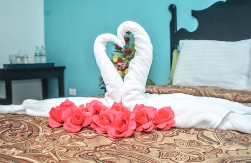 La Ceiba Hotel | UW OASIS HOTEL