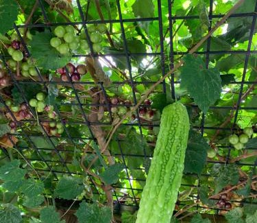 Northwest Apartment | Va beach zen studio C