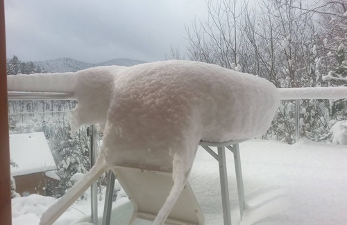 Hornberg House | Vacation home Traumblick 145 m², pool, sauna with panorama, whirlpool, guest card