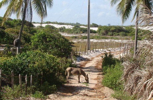 Catu de Abrantes House | vacation in paradise is in the house "o sitio da Negã falô"