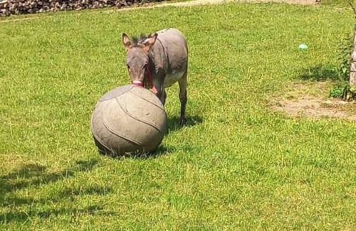 Indevillers House | Vacation Pitch Indevillers