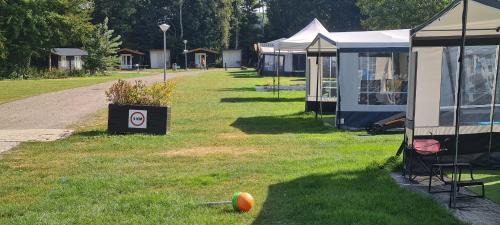 Urk Other | Vakantiepark 't Urkerbos - 4 persoons Brabantse blokhut