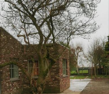 Woesten House | Vakantiewoning Henri Vleteren-Ieper