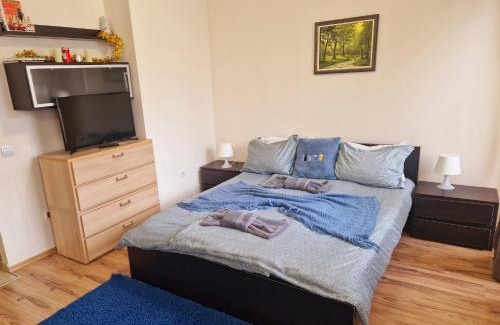 Borovets Apartment | VALENTINA`S STUDIO in "BOROVETS GARDENS" hotel