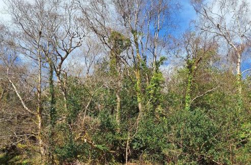 Blackwater Bridge Bed & Breakfast | Valhalla BnB