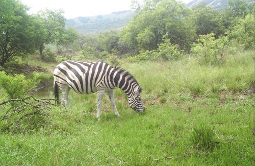 Elandskraal Villa | Valhalla Ranch