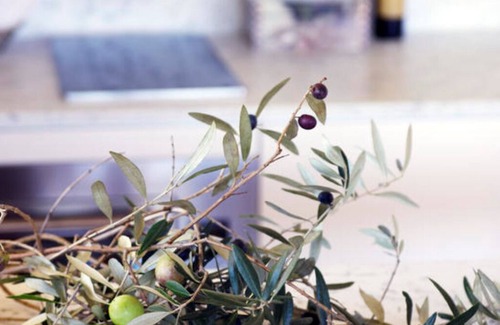 Laguna House | Valleyfield Escape