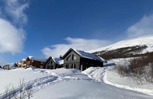 Oppdal House | Vangslia, Oppdal. Lekker leilighet med ski inn/ski ut