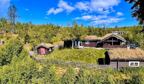 Vestre Slidre Ski Chalet | Vasethytta - cabin with a lovely view