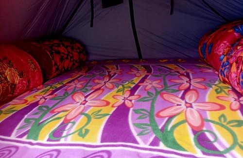 Kedarnath Other | VASHU CAMPSITE KEDARNATh