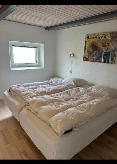 Tranekaer Apartment | Vejskrækgården