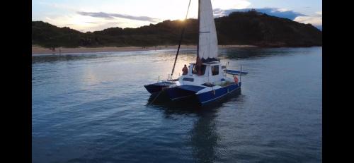 Ossos Boat Rental | Veleiro Catamarã