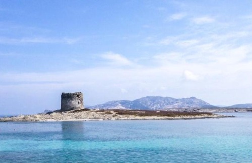 La Muddizza Apartment | VENTUS DOMUS