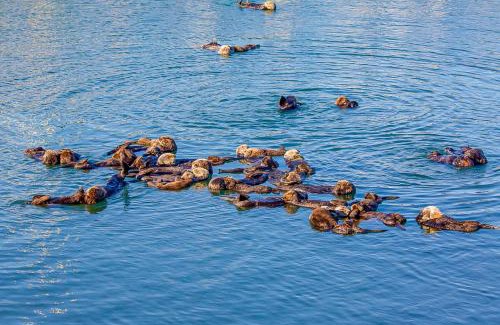 Morro Bay House | Verdon Oasis