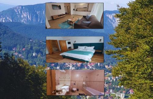 Cioplea Apartment | Vero Residence Predeal