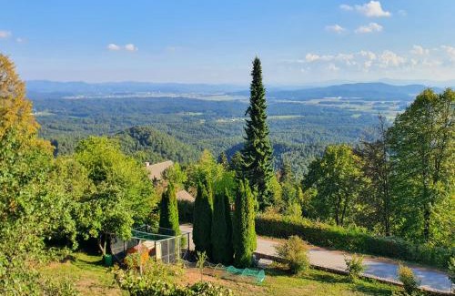 Senturska Gora Villa | Veronica's place in the mountains